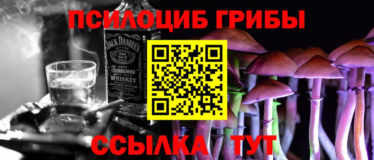 Галлюциногенные грибы Psilocybe Каменка