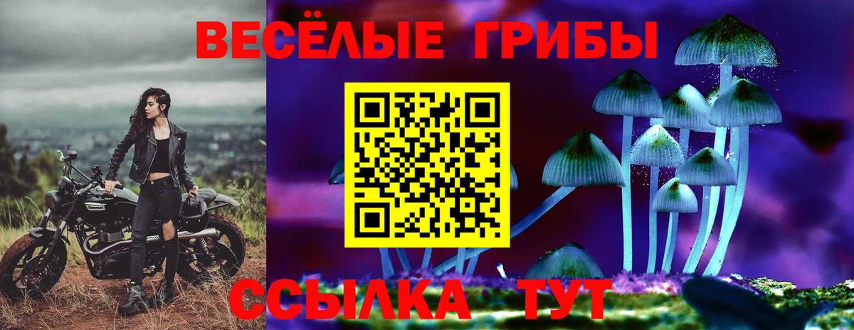 Каменка  Галлюциногенные грибы мицелий  Вход с VPN 